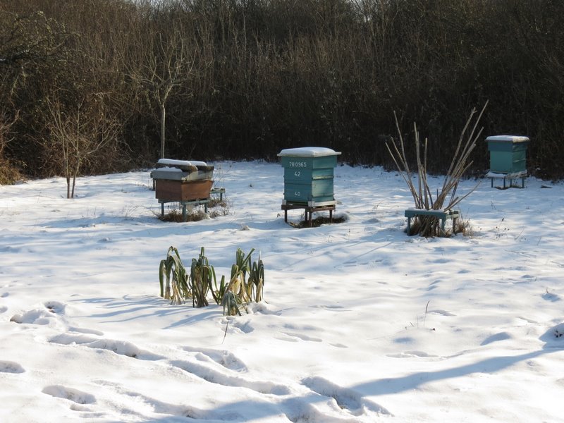 Février 2012 Atelier rencontre au PdH 02